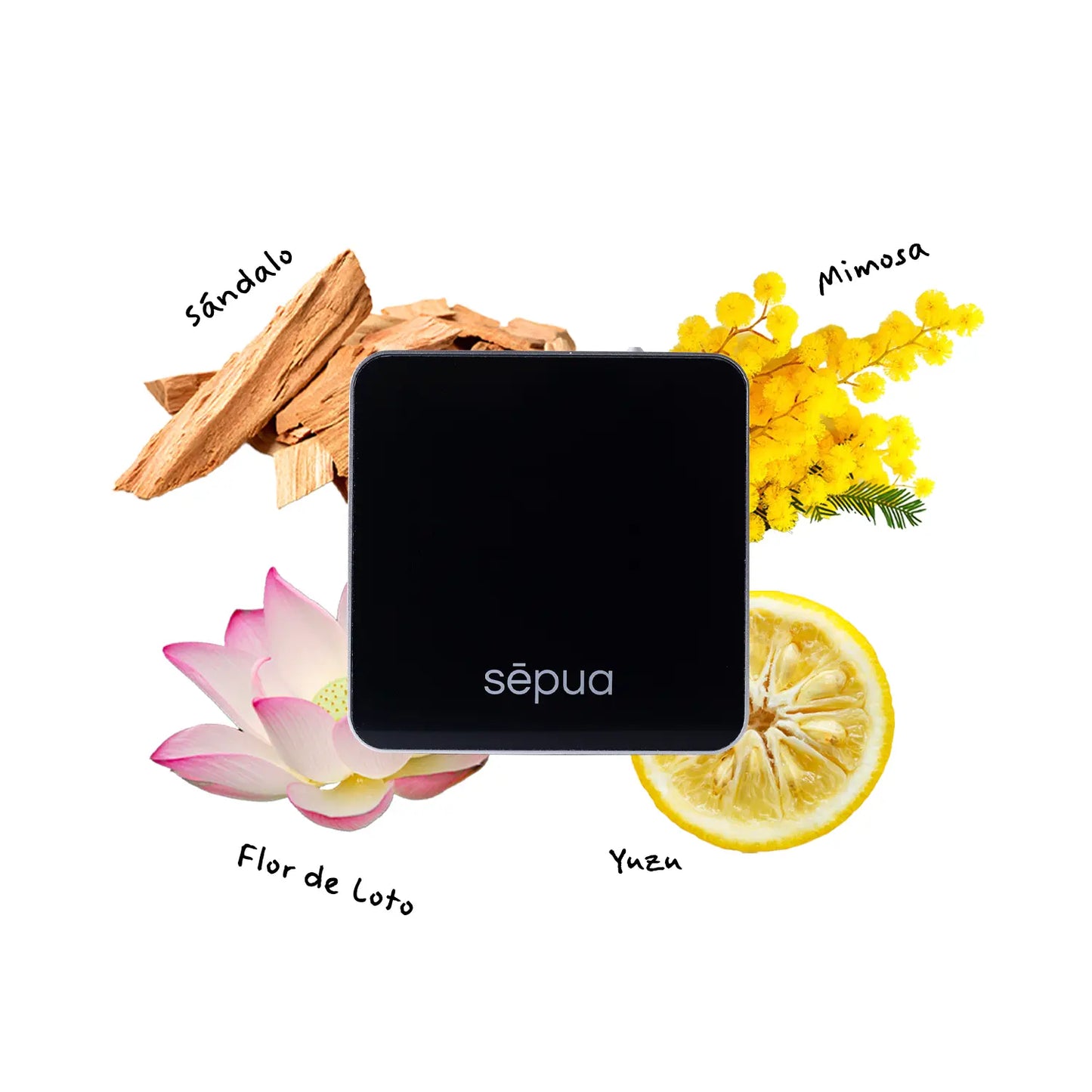 Difusor Vento Sepua - ambiente 2
