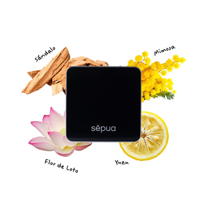 Difusor Vento Sepua - ambiente 2
